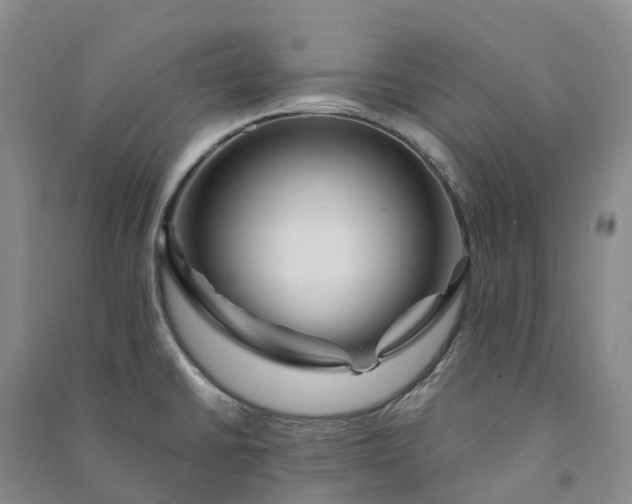 X0000090971430200708161826