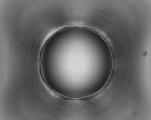 X0000090971432200708161826