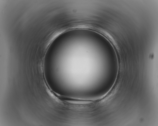 X0000090971433200708161826