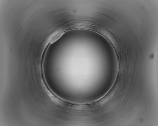 X0000090971434200708161826