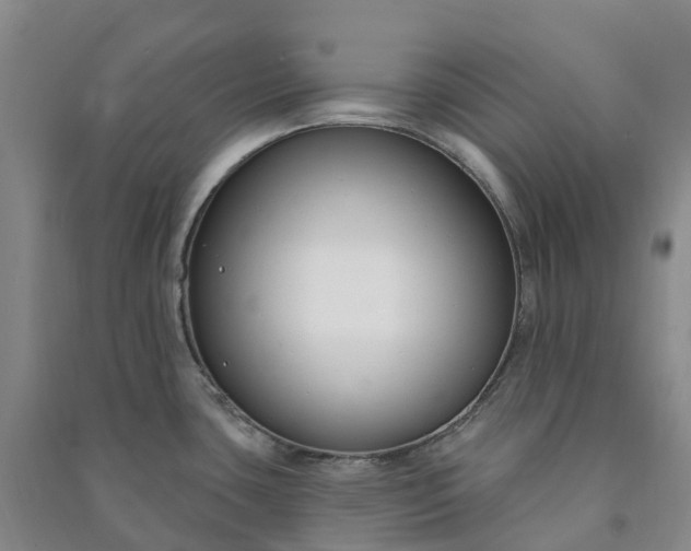 X0000090971435200708161826