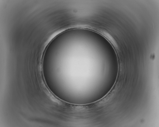 X0000090971436200708161826