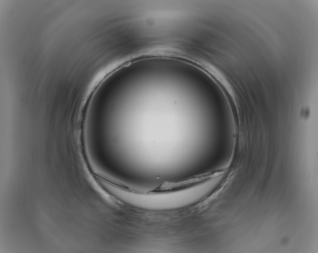 X0000090971437200708161826