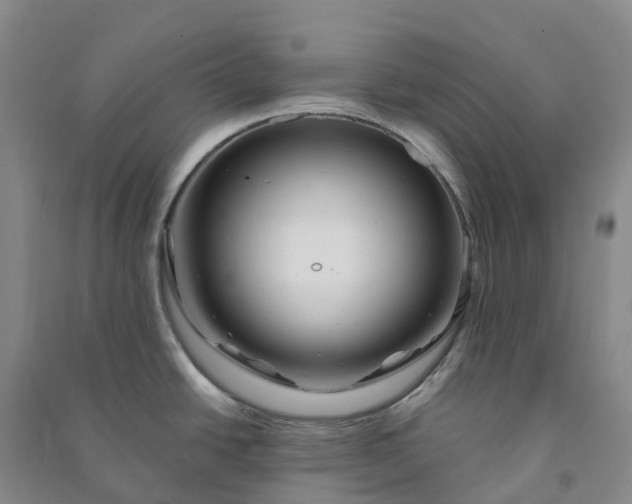 X0000090971438200708161826