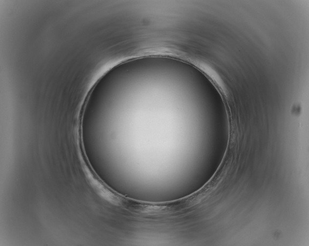 X0000090971439200708161826