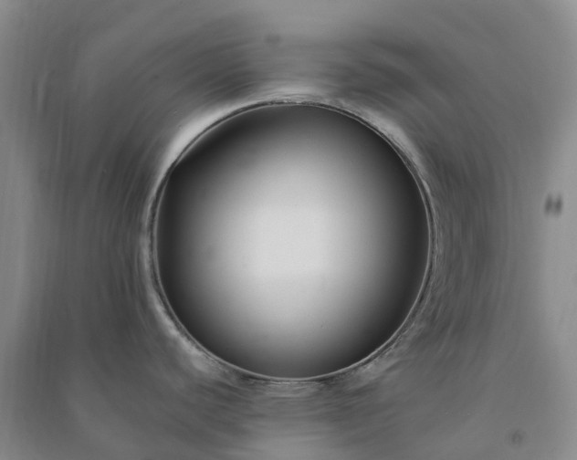 X0000090971440200708161826