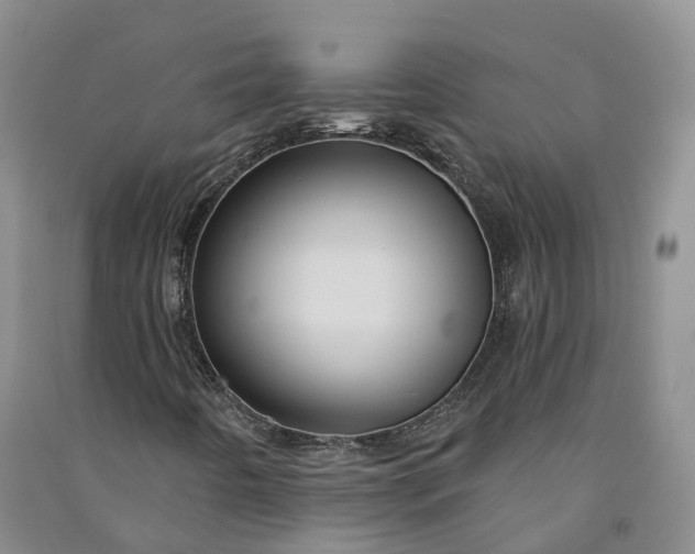 X0000090971442200708161826