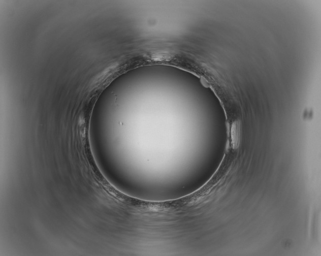 X0000090971443200708161826