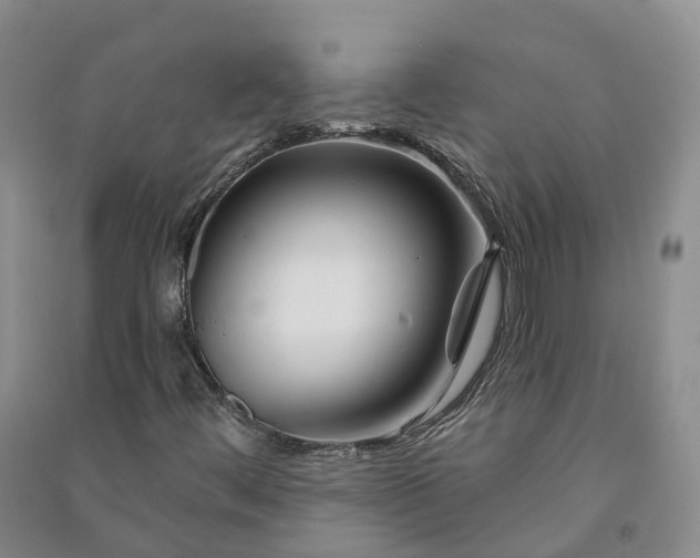 X0000090971444200708161826