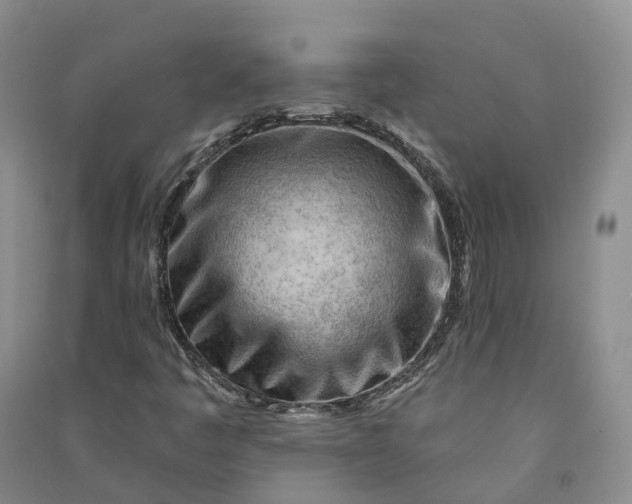 X0000090971445200708161826