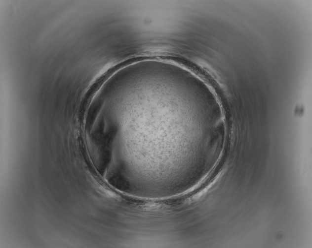 X0000090971449200708161826