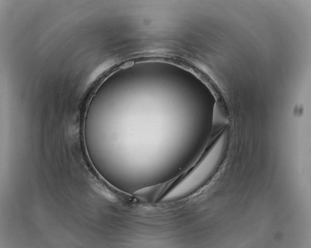 X0000090971450200708161826