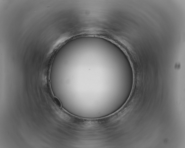 X0000090971451200708161826