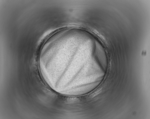 X0000090971454200708161826