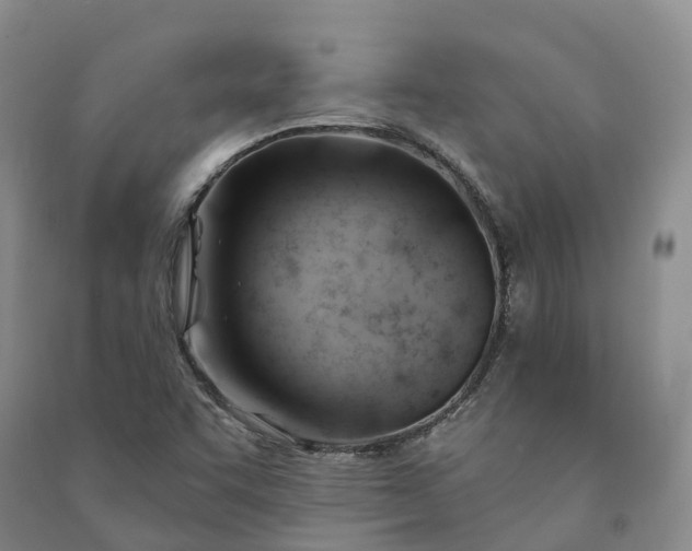 X0000090971455200708161826