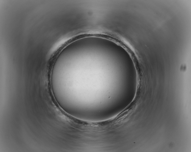 X0000090971456200708161826