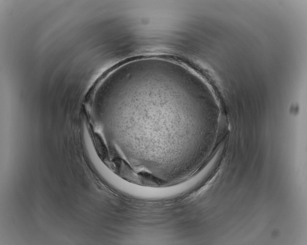 X0000090971457200708161826
