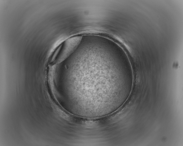 X0000090971459200708161826