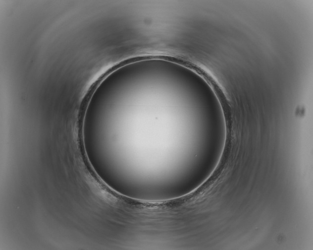 X0000090971460200708161826