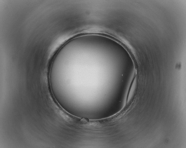 X0000090971464200708161826