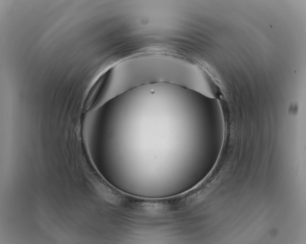 X0000090971465200708161826