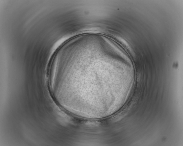 X0000090971466200708161826