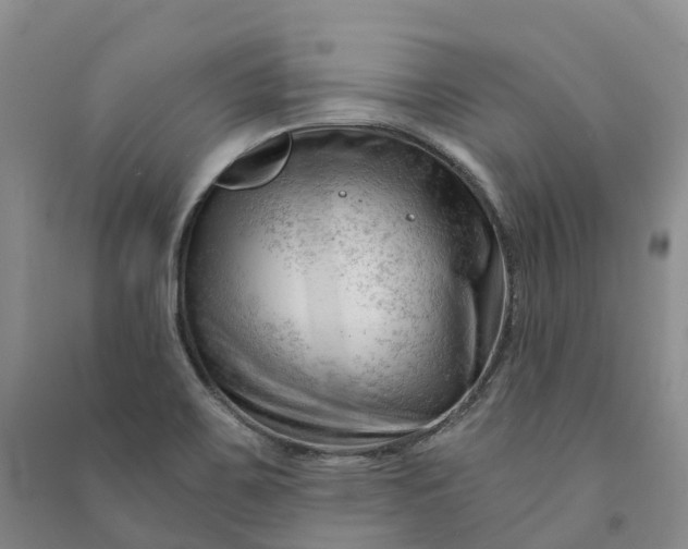 X0000090971467200708161826