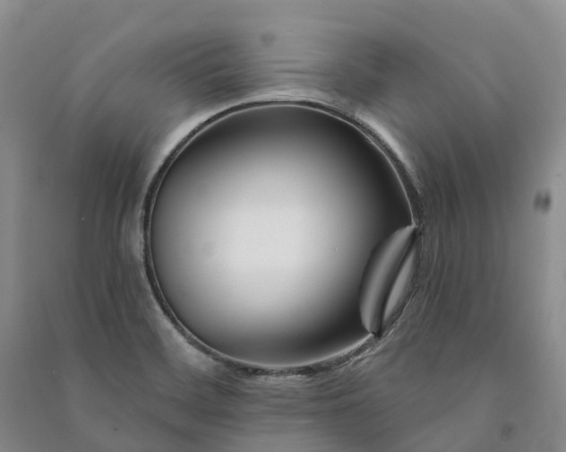 X0000090971468200708161825