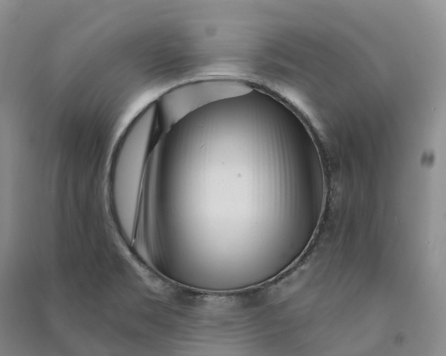 X0000090971469200708161825