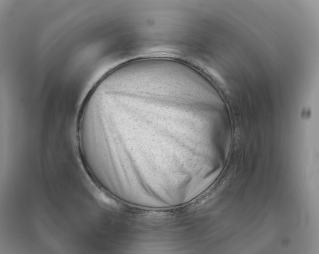 X0000090971470200708161825