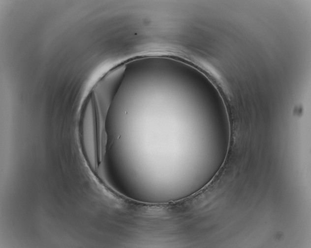 X0000090971472200708161825