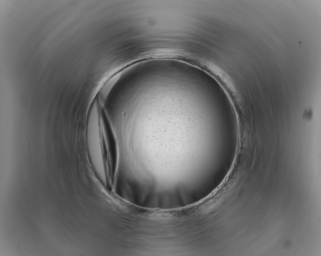 X0000090971473200708161825