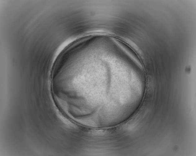 X0000090971474200708161825