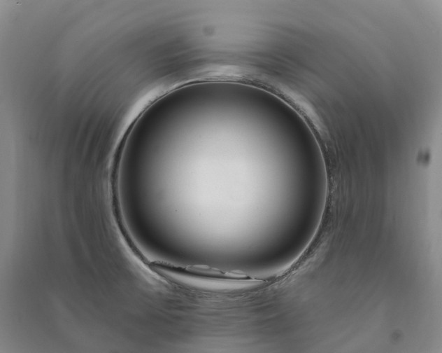 X0000090971475200708161825