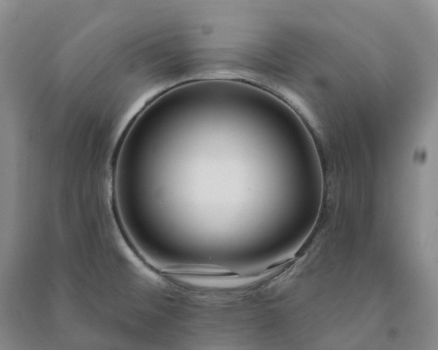 X0000090971476200708161825