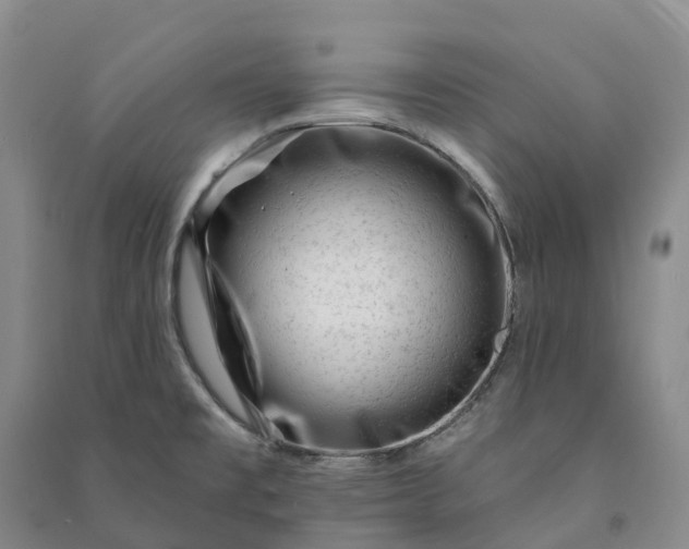 X0000090971477200708161825