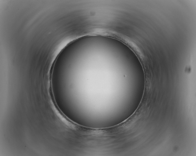 X0000090971479200708161825