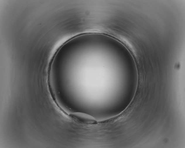 X0000090971480200708161825