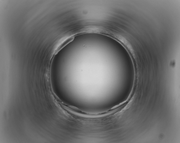 X0000090971481200708161825