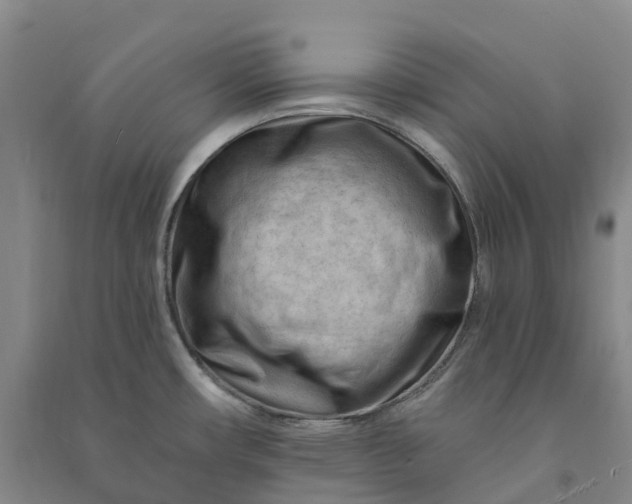 X0000090971482200708161825