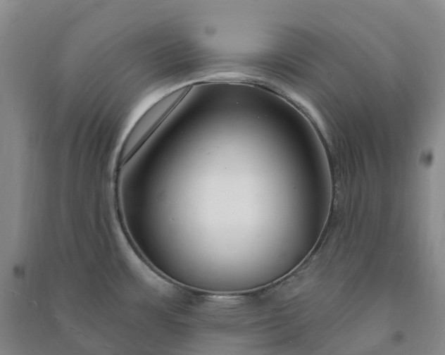 X0000090971483200708161825