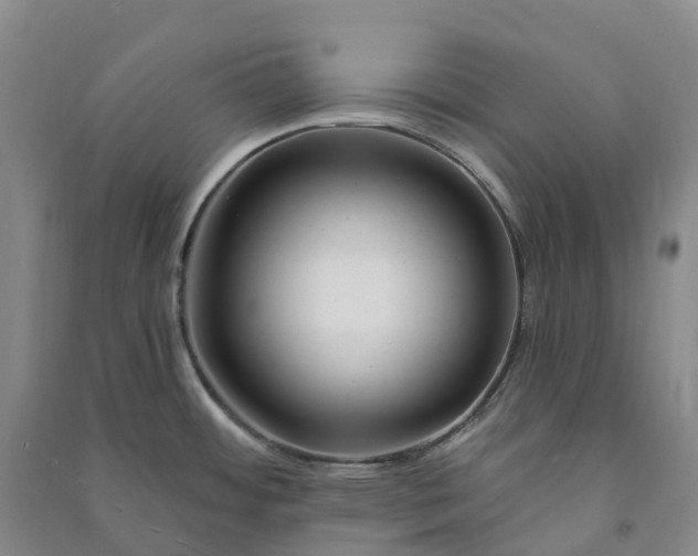 X0000090971484200708161825