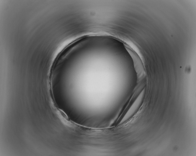 X0000090971485200708161825