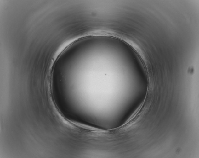 X0000090971486200708161825