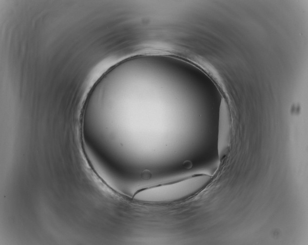 X0000090971488200708161825