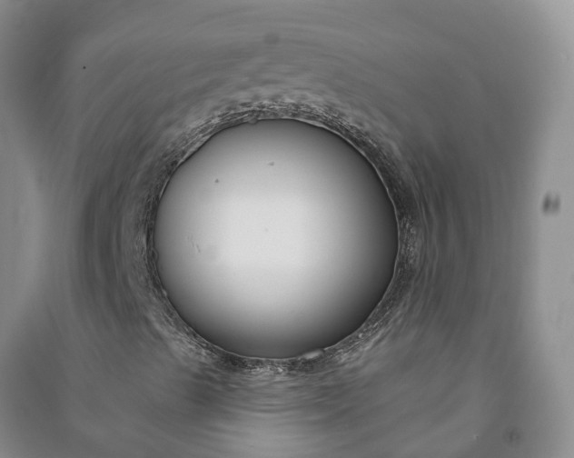 X0000090971489200708161825