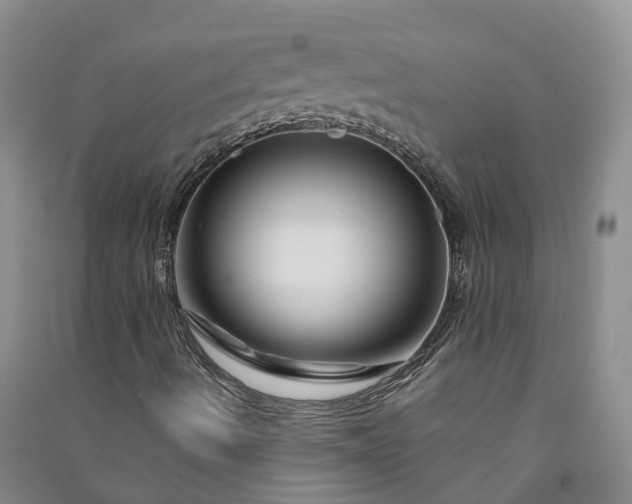 X0000090971490200708161825