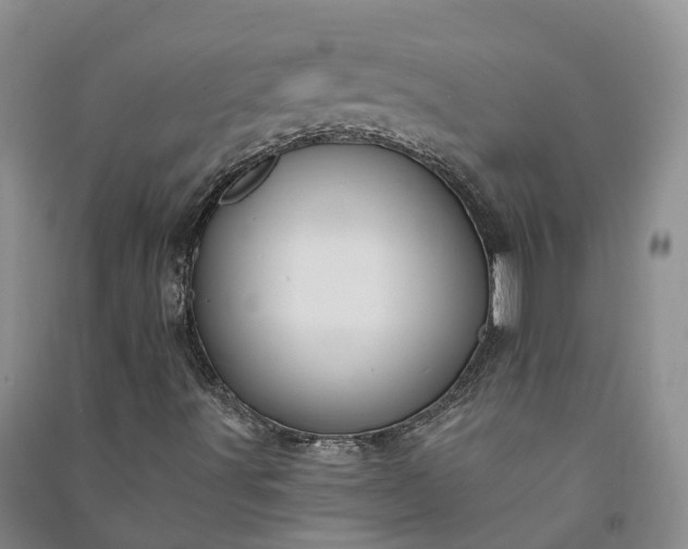 X0000090971491200708161825