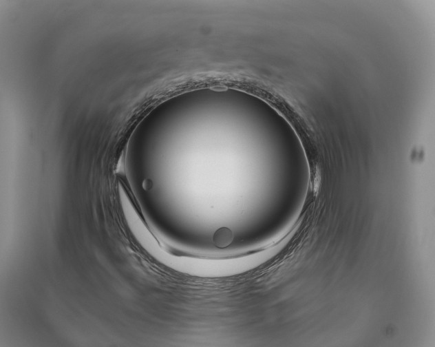 X0000090971492200708161825