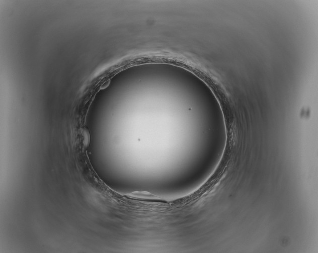 X0000090971494200708161825